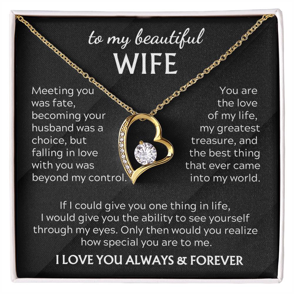 To my beautiful WIFE - My greatest treasure