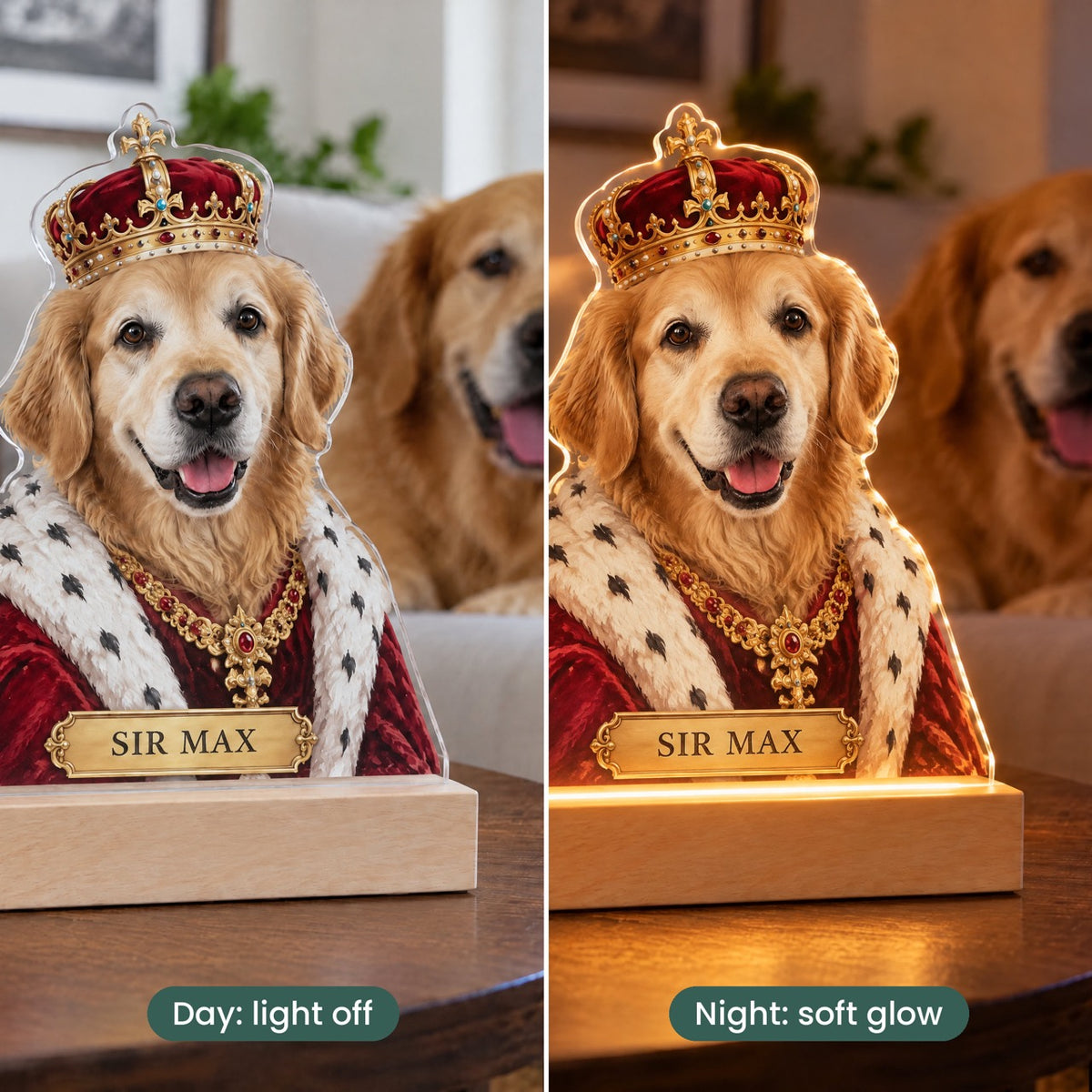 Royal Pet Portrait Night Light