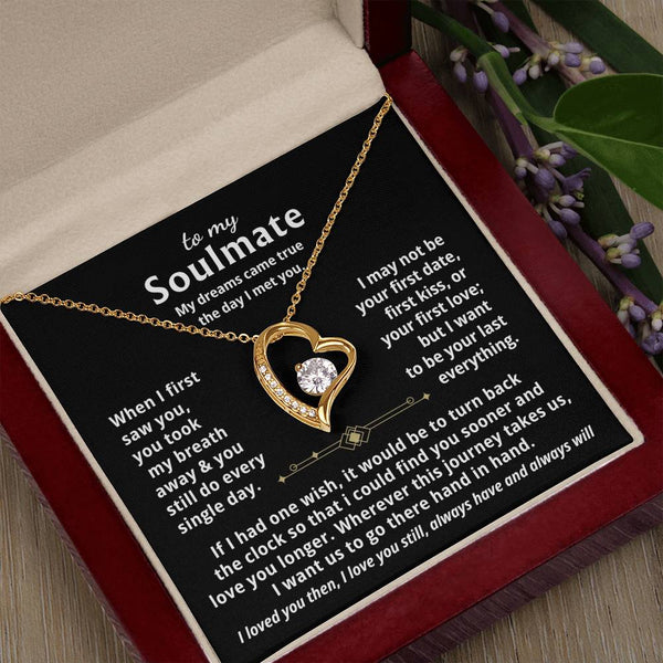 To My Soulmate, My dreams came true the day I met you  - Forever Love Necklace