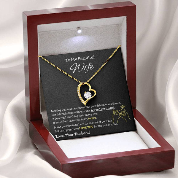 (Almost Sold Out) To My Beautiful Wife - Falling In Love With You Was Beyond My Control
