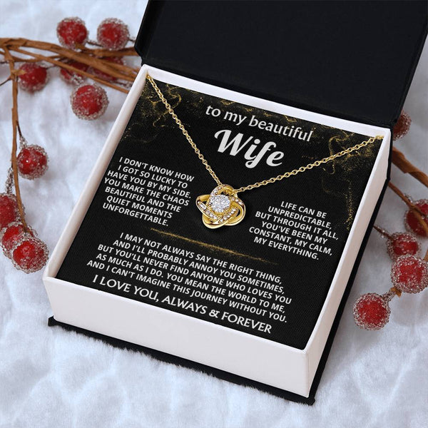 To My Wife, You are my constant, my calm, my everything.