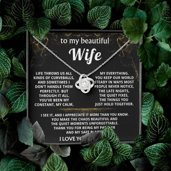 To My Wife, You make my world beautiful and steady.
