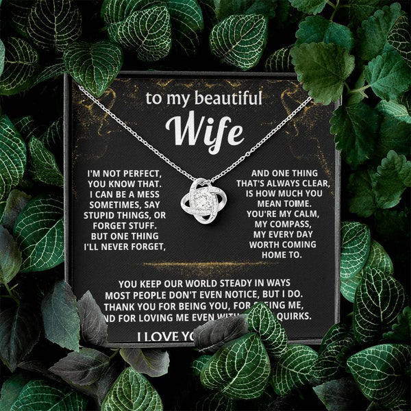 To My Wife, You mean the world to me.