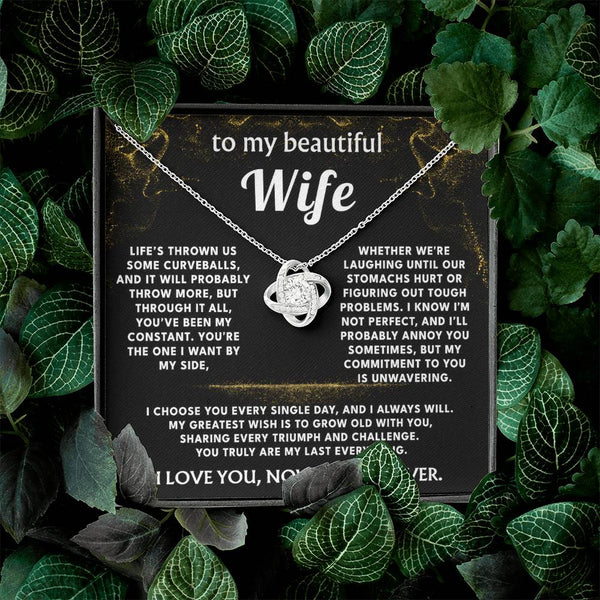 To My Wife, You are my constant, my everything.