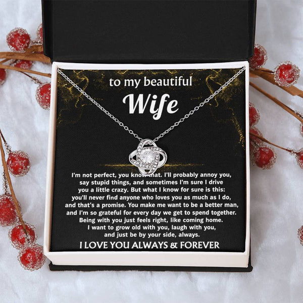 To My Wife, I'll love you always, that's a promise.
