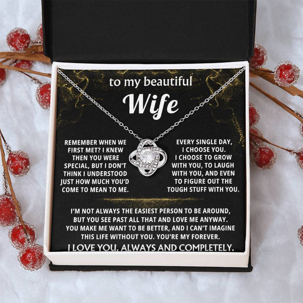 To My Wife, I choose you, always and forever.
