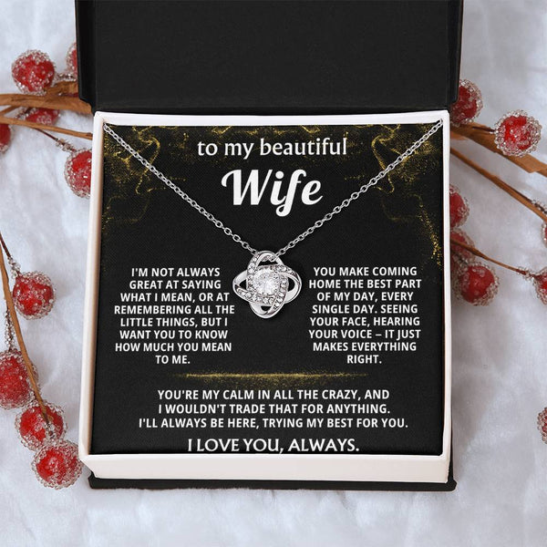 To My Wife, You make coming home the best part.