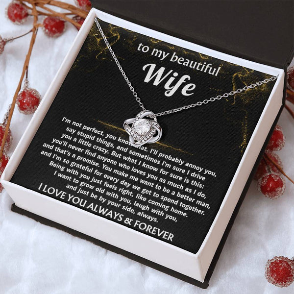 To My Wife, I'll love you always, that's a promise.