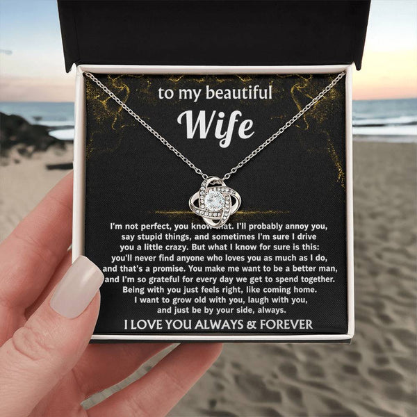 To My Wife, I'll love you always, that's a promise.