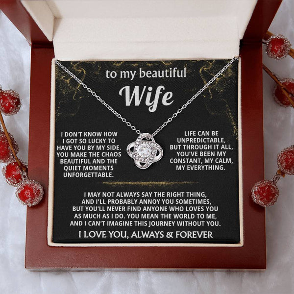 To My Wife, You are my constant, my calm, my everything.