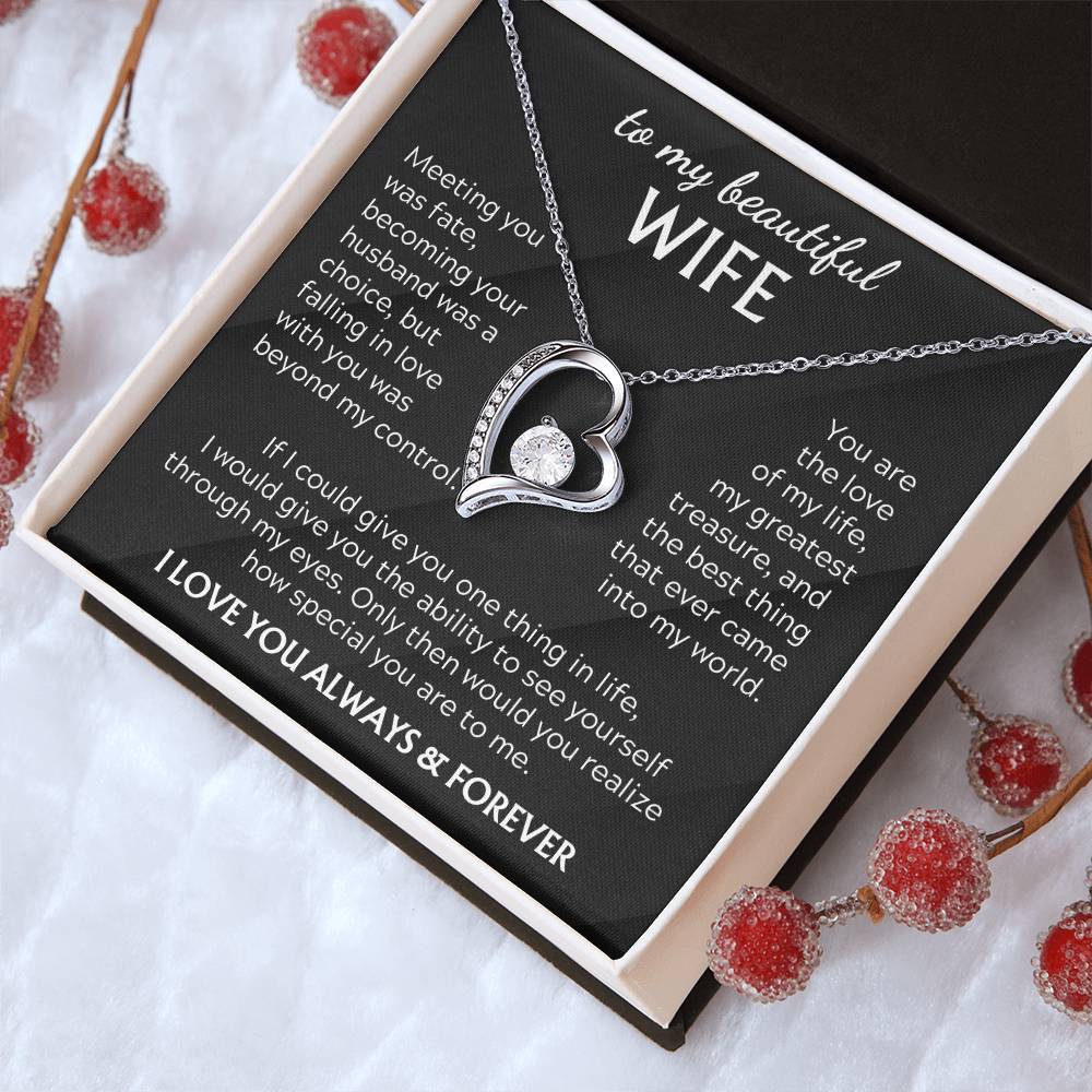 To my beautiful WIFE - My greatest treasure