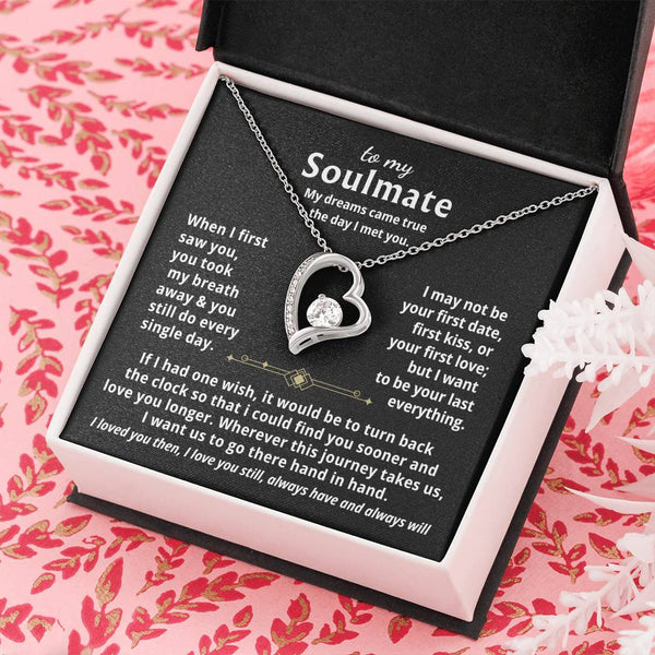 To My Soulmate, My dreams came true the day I met you  - Forever Love Necklace