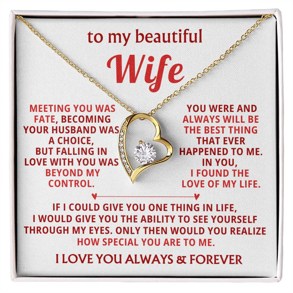 To My Beautiful Wife - I found the love of my life [ Forever love necklace ]