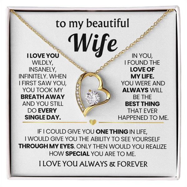 TO MY BEAUTIFUL WIFE - I love you wildly, insanely, infinitely