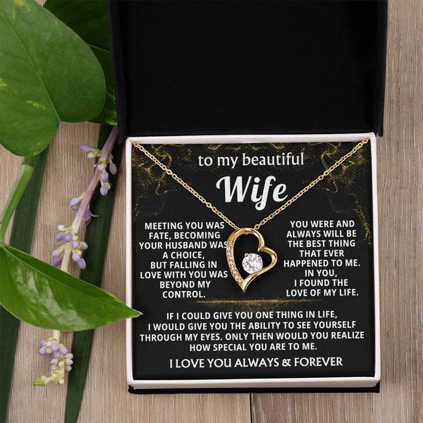 (Almost Gone) To My Beautiful Wife - I found the love of my life
