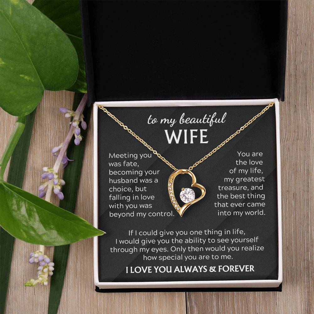 To my beautiful WIFE - My greatest treasure