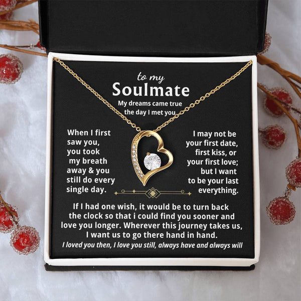 To My Soulmate, My dreams came true the day I met you  - Forever Love Necklace