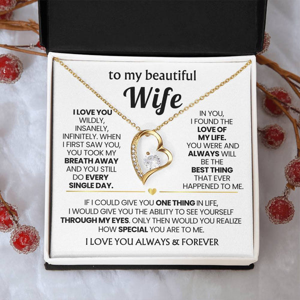 TO MY BEAUTIFUL WIFE - I love you wildly, insanely, infinitely