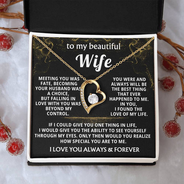 (Almost Gone) To My Beautiful Wife - I found the love of my life