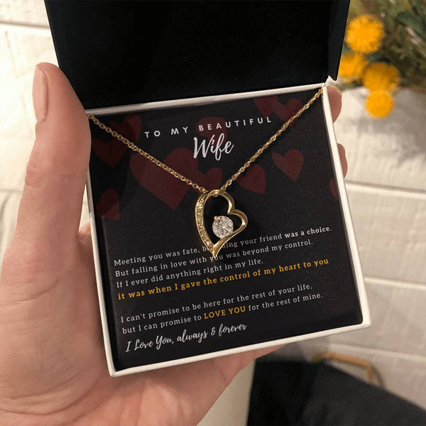 Gift For Wife, Wife Birthday Gift, Anniversary Gift For Wife, Wife Necklace , Destiny Love