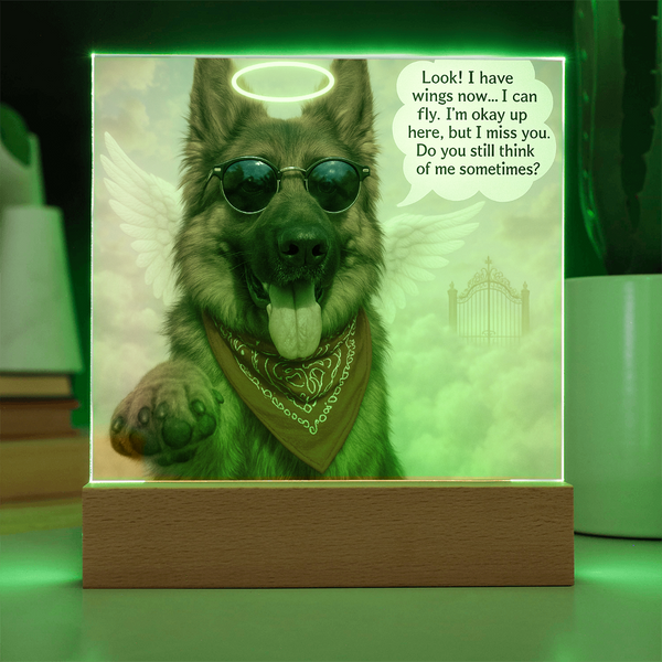 [Photo Upload] - PAWsonalized Pet Memorial Plaque