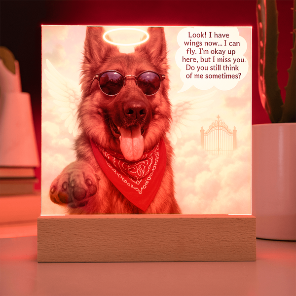 [Photo Upload] - PAWsonalized Pet Memorial Plaque