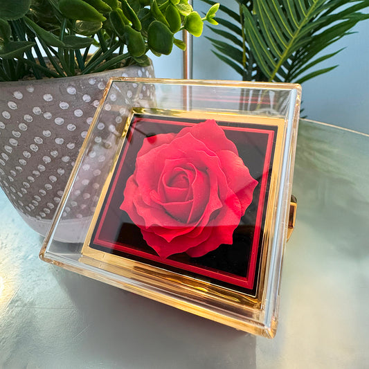 To My Beautiful Daughter - I will always be your biggest fan [ Rotating Rose Box ]