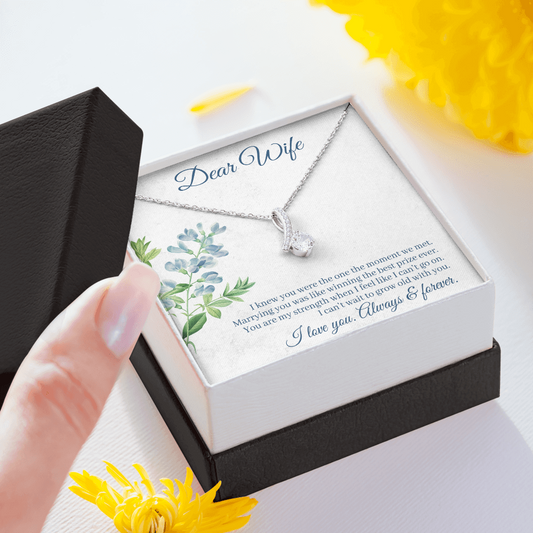 Dear Wife - I Knew You Were The One The Moment We Met! (Limited Time Offer) - Alluring Beauty Necklace