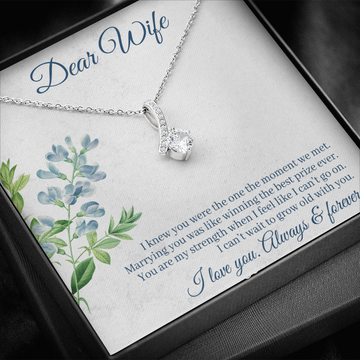 Dear Wife - I Knew You Were The One The Moment We Met! (Limited Time Offer) - Alluring Beauty Necklace